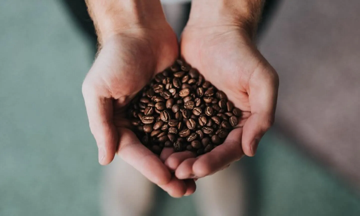 grains de café dans une main