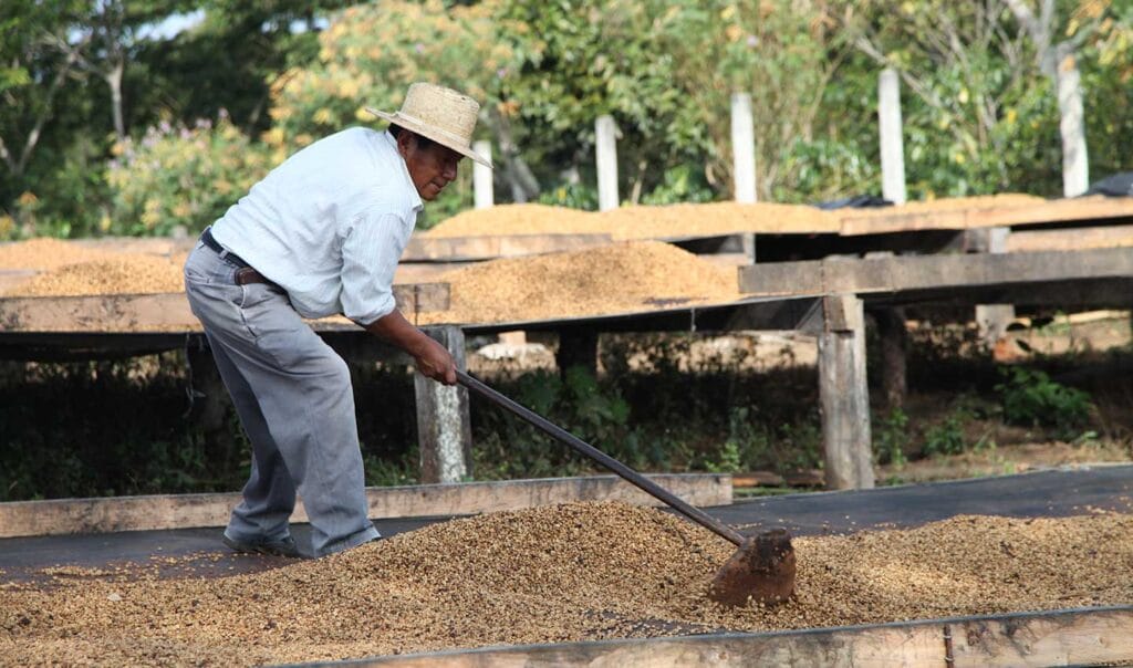 Un de nos producteurs à El Salvador