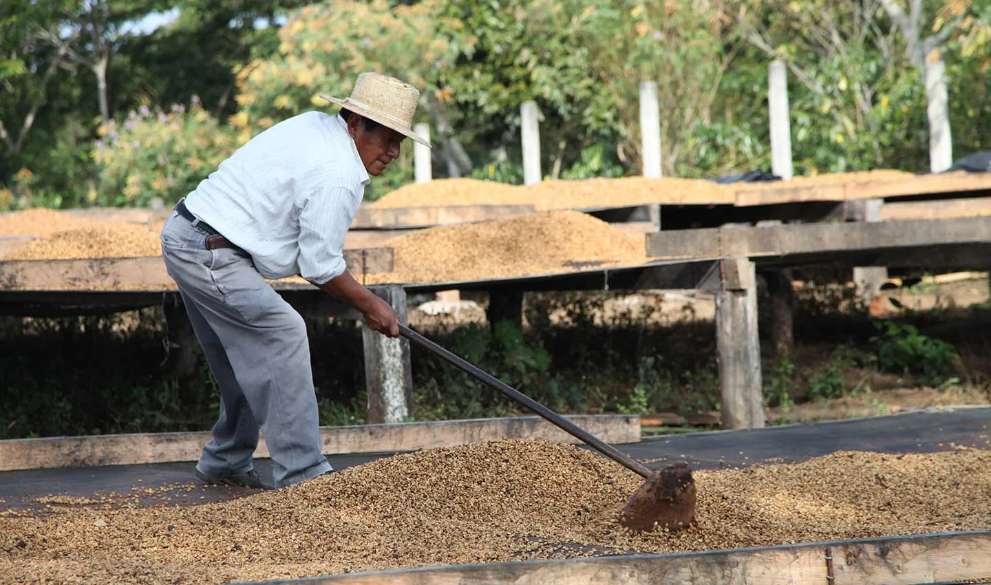 Un de nos producteurs à El Salvador