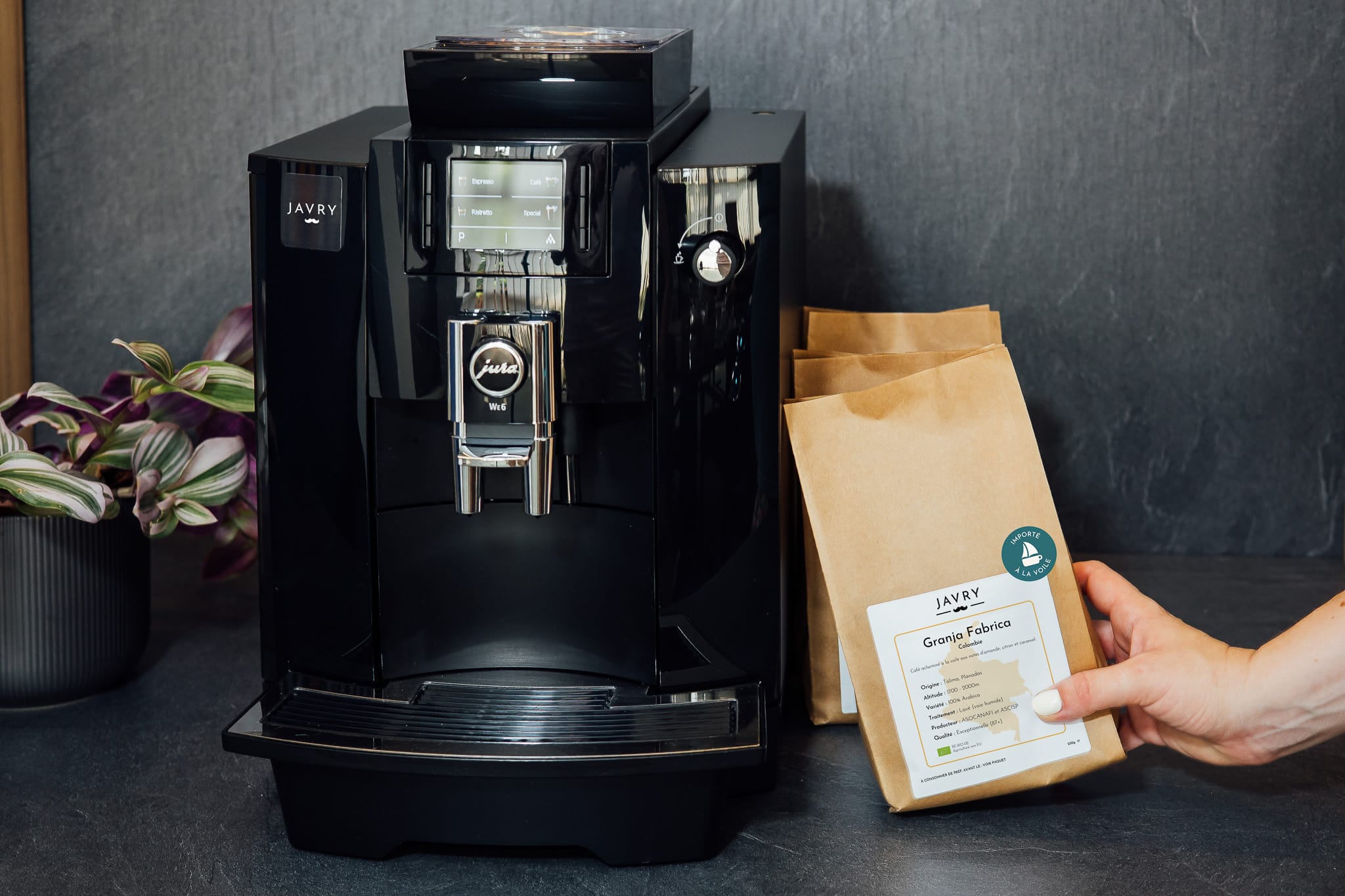 cafetière grain pour entreprise
